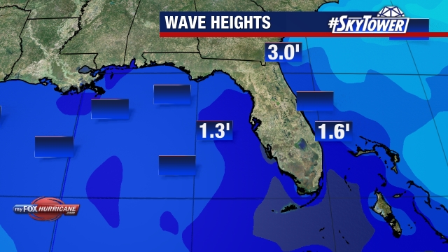 Wave Heights - Florida