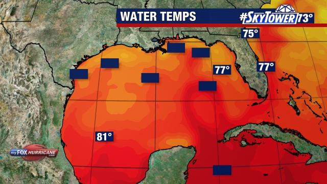 Gulf of Mexico Sea Surface Temperatures